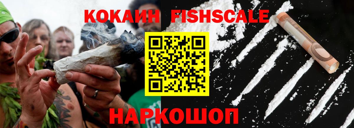 НБОМе Петропавловск-Камчатский