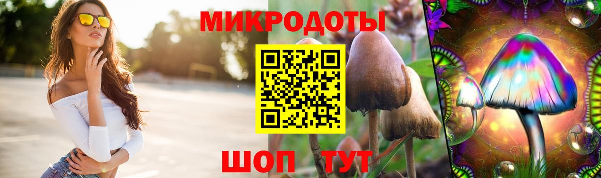 Петропавловск-Камчатский  Галлюциногенные грибы Psilocybine cubensis  Вход с VPN  Галлюциногенные грибы Cubensis 